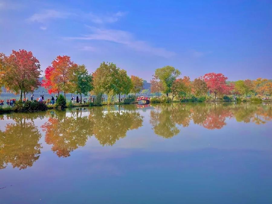 同题诵读 ‖【枫叶🍁红金秋】作者/雷金钟 朗诵/北京古塔读书会主播（图18）