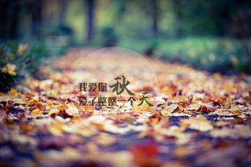 《读你》作者:莫先生【主播:青草味儿】【桃源国际诗歌集团】用声音传递温暖以诵读致敬人生♬（图9）