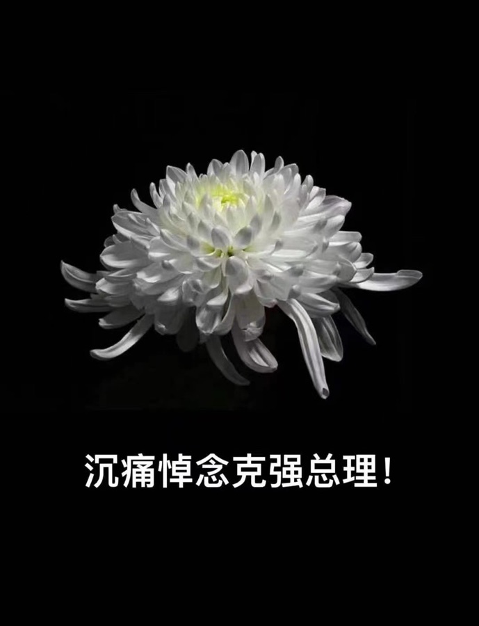 🌼【沉痛悼念敬爱的克强总理】文：世界诗会众诗人挽吟【四合院诗刊】世界诗人名人展特刊🌼（图11）