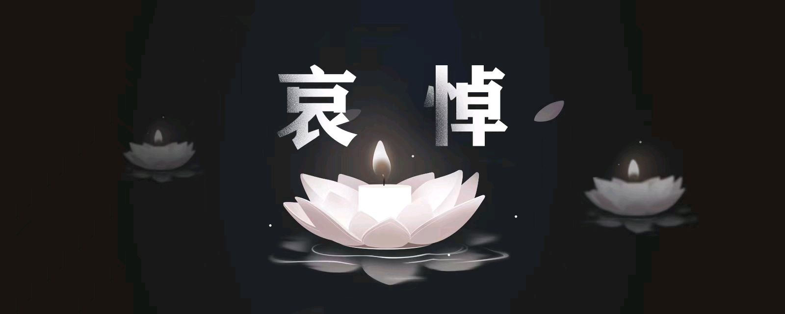 归去来-霜降闻惊雷泣别李克强好总理*文/冯志清 〔上海〕【冰心文化传媒】主编冰心（图16）