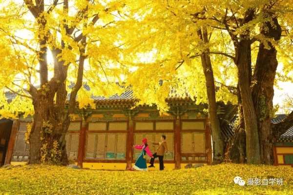 【中国长江文学社】有声文学平台《与圣洁同行》作者焦凡洪/诵读周圣凯/制作宋梅【第6788期】（图3）