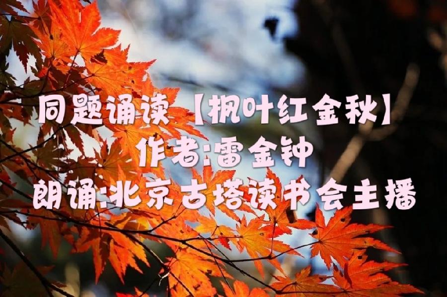 同题诵读 ‖【枫叶🍁红金秋】作者/雷金钟 朗诵/北京古塔读书会主播（图3）