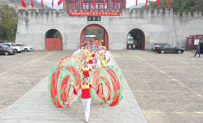 刘建芝的《双龙蝶飞》
