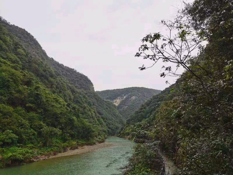*采风卸甲坪长歌*诗人：胡从发〔湖北荆州〕【冰心文化传媒】（图4）
