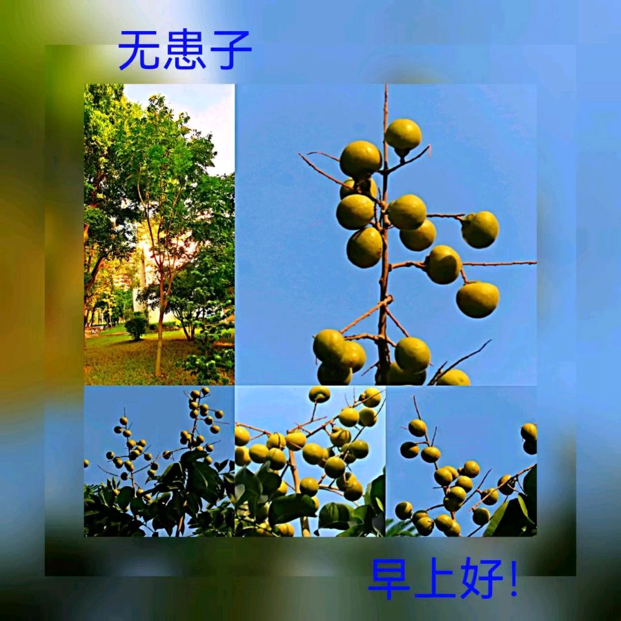 联机全球发布马洪武作品欣赏（图421）