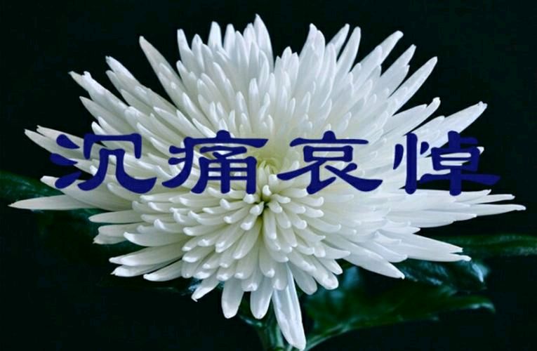 【沉痛悼念李克强总理】《九江文学社：北京头条》【总第1895期】（图27）
