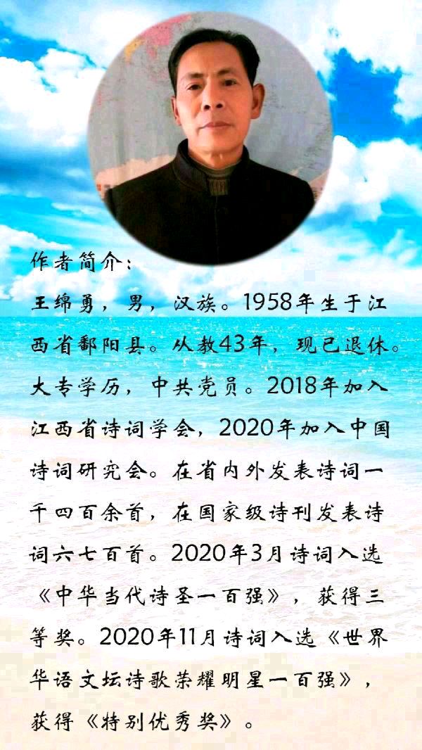 中华诗艺黑龙江分社微刊第240期(图13)