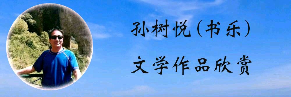 中华诗艺黑龙江分社微刊第240期(图18)
