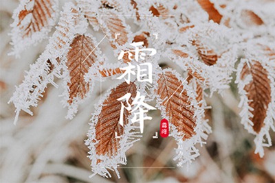 【神州源流诗苑】第1060期优秀近体诗《都市头条》周刊