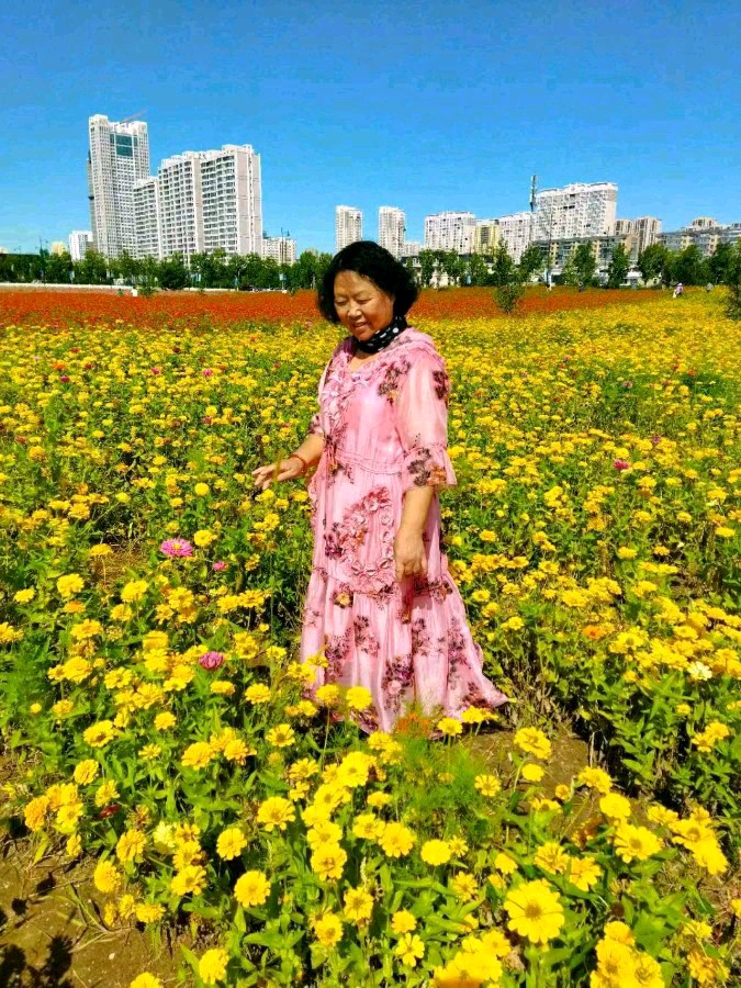 中华诗艺黑龙江分社微刊第240期(图36)