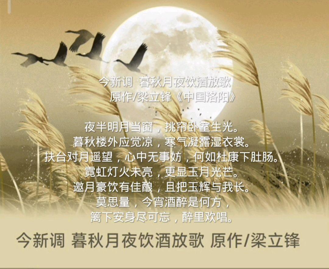 梁立锋新创词牌:今新调(图4)