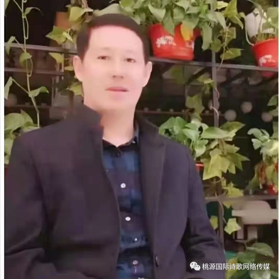 《思念，坠弯了家乡的那弯明月》作者:冬日的阳光【主播:玲子】【桃源国际诗歌集团】桃源♬ 馨声（图10）