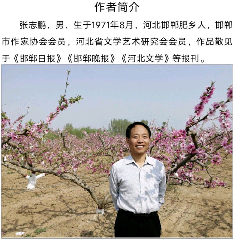 七律《游四方山》张志鹏（图5）