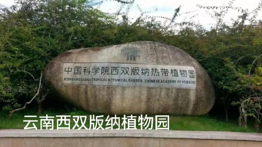 西双版纳植物园～诗||李耀文（图12）