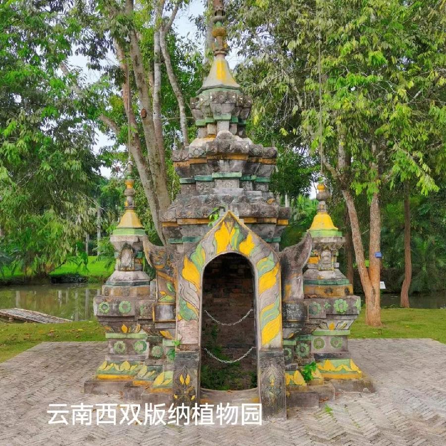 西双版纳植物园～诗||李耀文（图9）