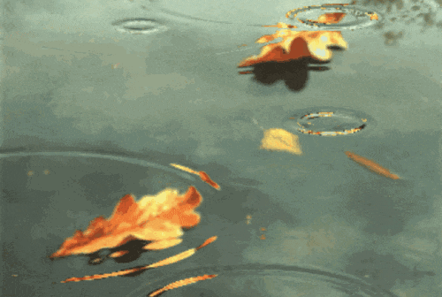 不负秋光走一回——作者:李婧——【诗当代】征稿——都市头条（图3）