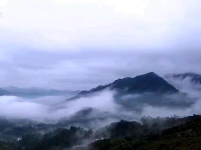 《七绝 · 晨起大雾》作者/赵洪涛（图3）