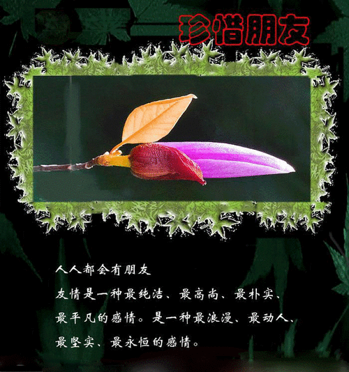 《归来三章》作者:记得你的好【主播:丹桂】【桃源国际诗歌集团】用声音传递温暖，以诵读致敬人生♬（图7）