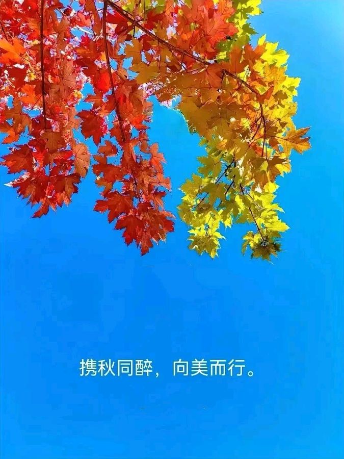 《绿晕的心境》外三首——作者:刘永学——【民族诗人】开始征稿——都市头条(图3)