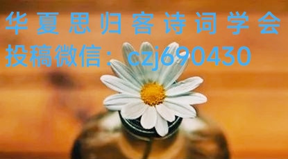 读.荐赏.见晓明组诗四首/《新华文学社》个人专辑有感——作者:水云居士——都市头条(图9)
