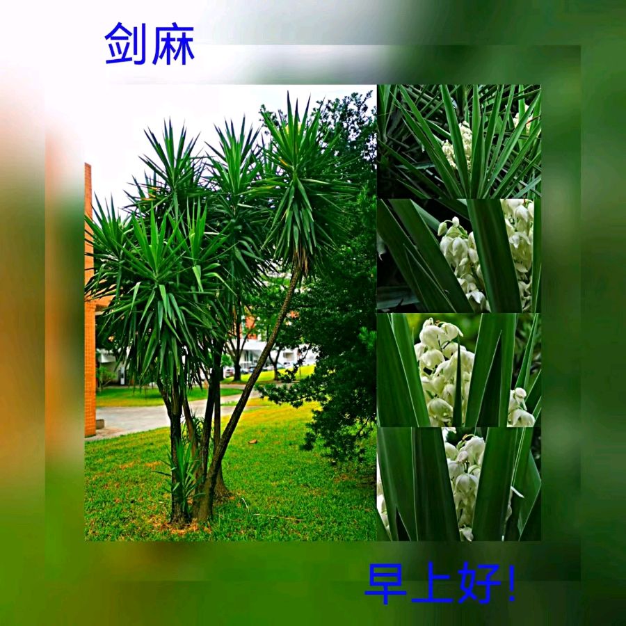 联机全球发布马洪武作品欣赏（图416）