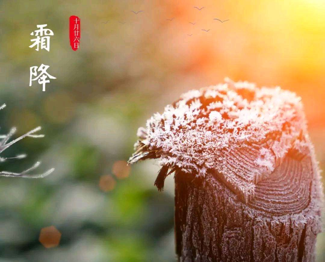 【明心文学】自由雅遇/诗词六首 主播/张兆维（图3）
