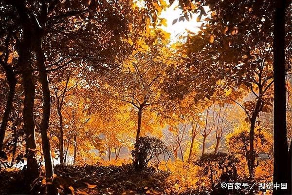 中信社区原创诗词协会古诗词学习活动连载之15——《秋登兰山寄张五》。作者/孟浩然（图5）