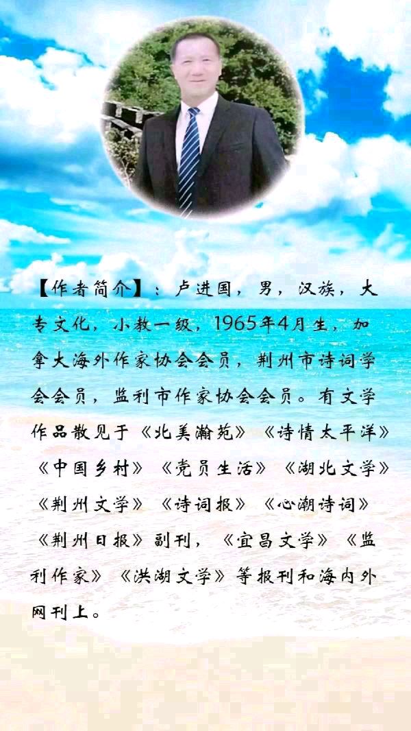 中华诗艺社黑龙江分社微刊第243期(图35)
