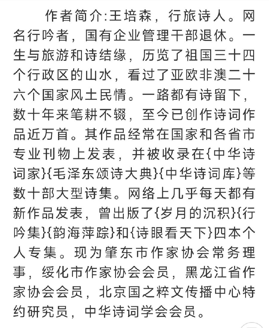 中华诗艺社黑龙江分社微刊第243期(图53)