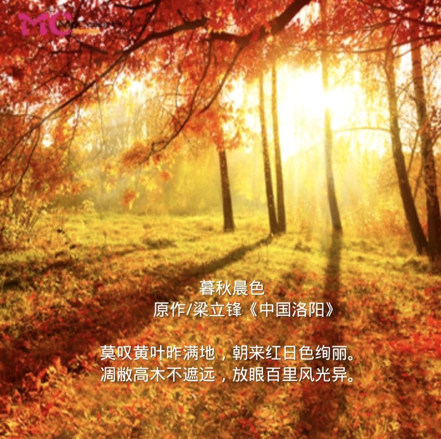 暮秋晨色 原作/梁立锋