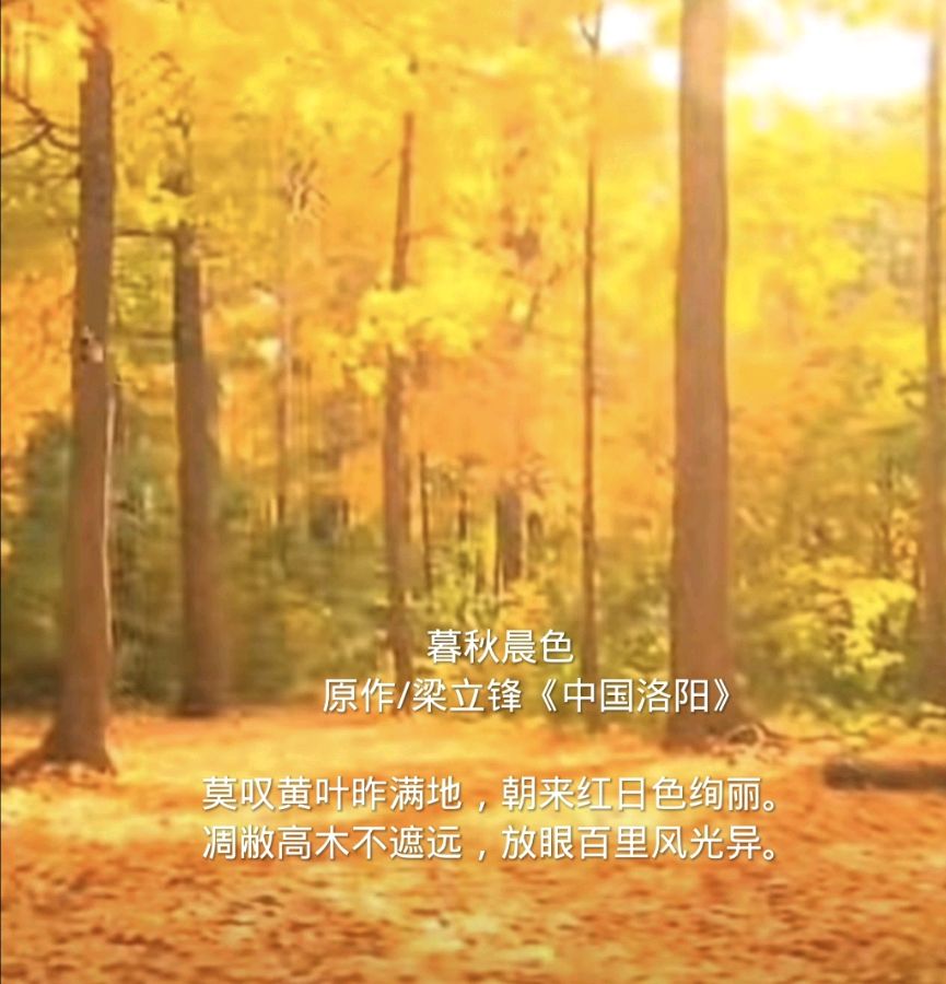 暮秋晨色 原作/梁立锋（图3）