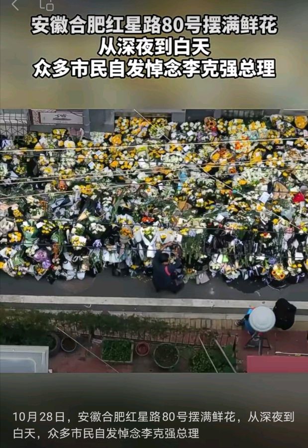 【名家精品】赞颂人民的好总理 文/宋光伟 主播/海河儿女(图4)