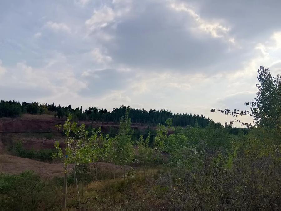 韵和周效仁老师《癸卯暮秋陵山行诗词三首》作者/唐桂英(图4)