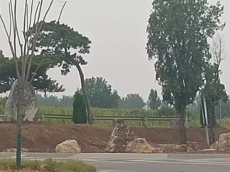 韵和周效仁老师《癸卯暮秋陵山行诗词三首》作者/唐桂英(图6)