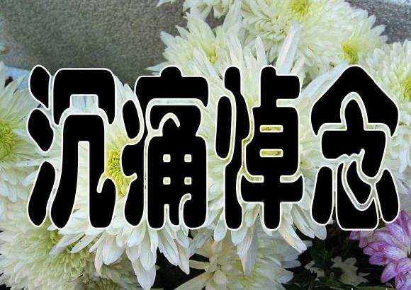 《九江文学社：有声文学》《名家专刊》散文诗【沉痛悼念李克强总理】文/陈新良 精英主播/凤凰之歌（图3）
