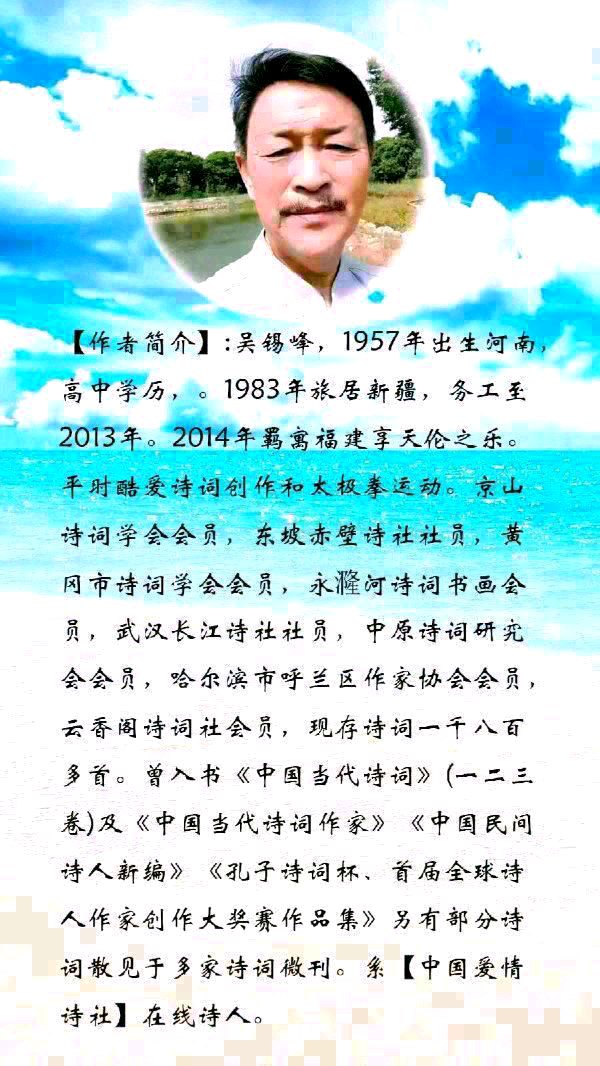 中华诗艺社黑龙江分社微刊第244期(图34)