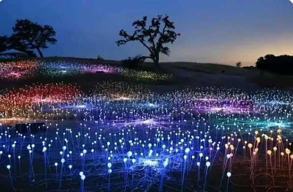 冬日艳阳诵读《灯光赞》作者/肖朝光 编辑制作/青青【花雨馨声】第505期（图4）