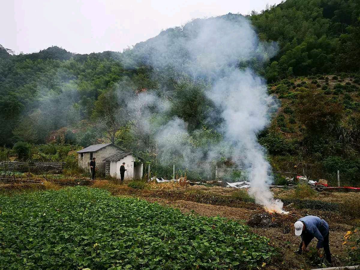 【中国长江文学社】《一条河》作者 张维清//主播 影儿//编辑 岁月静好 第6795期（图6）
