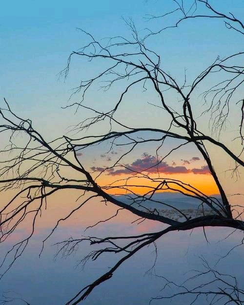联机全球发布谢达安作品欣赏（图20）