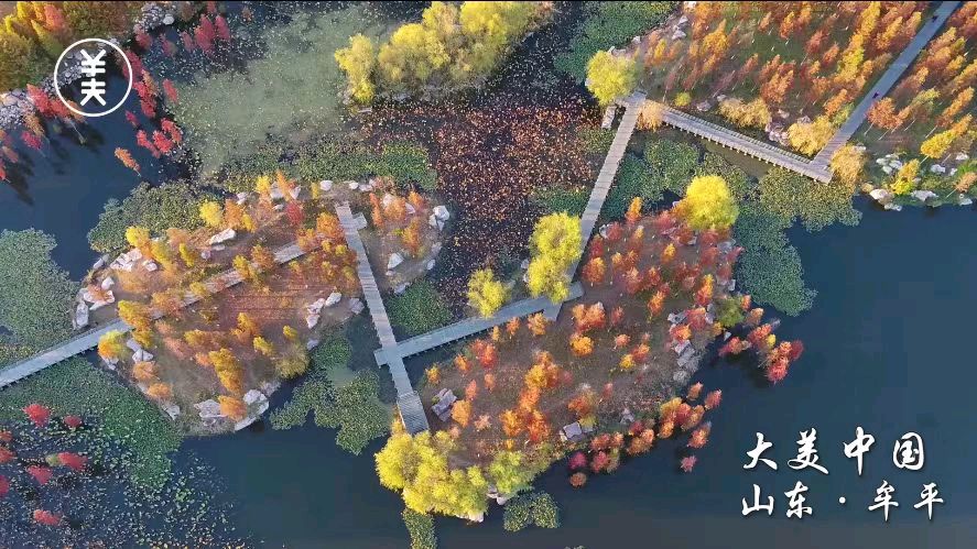 散文诗《故乡行》作者：吉运〔新疆伊犁〕【冰心文化传媒】（图5）