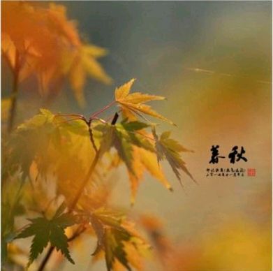【经典推荐】鲁坡//秋杪冬临春又近(外三首)（图3）