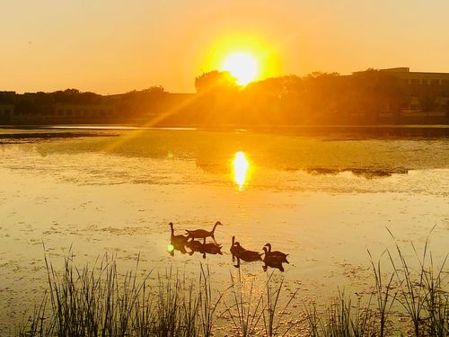 【经典推荐】鲁坡//秋杪冬临春又近(外三首)（图13）