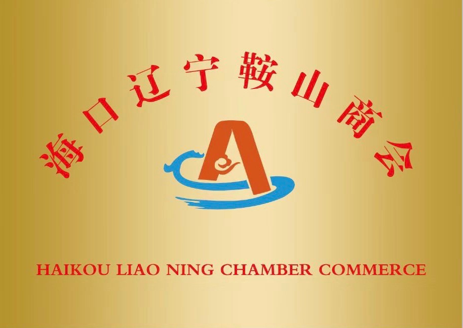 热烈欢迎海口市工商业联合会副主席洪飞，组织部长周吉玉亲临《海口辽宁鞍山商会》指导工作（图9）