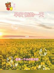 《又是新的一天》作者:布雷子【主播:玥儿】【桃源国际诗歌集团】用声音传递温暖以诵读致敬人生♬（图5）