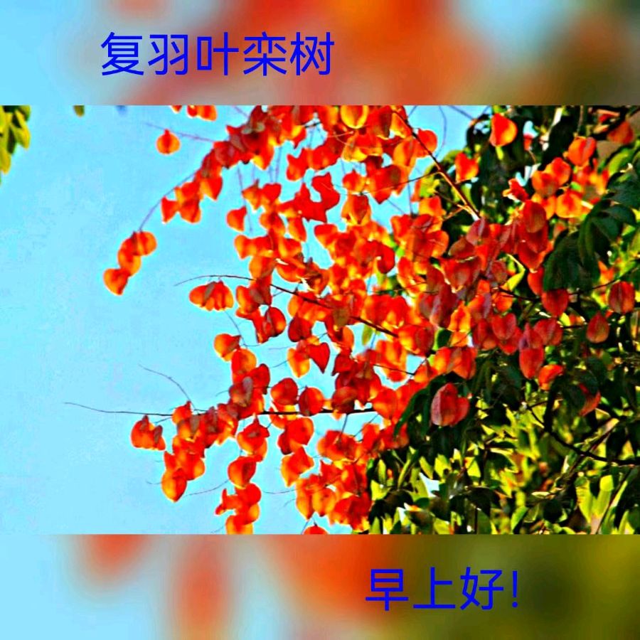 联机全球发布马洪武作品欣赏（图408）