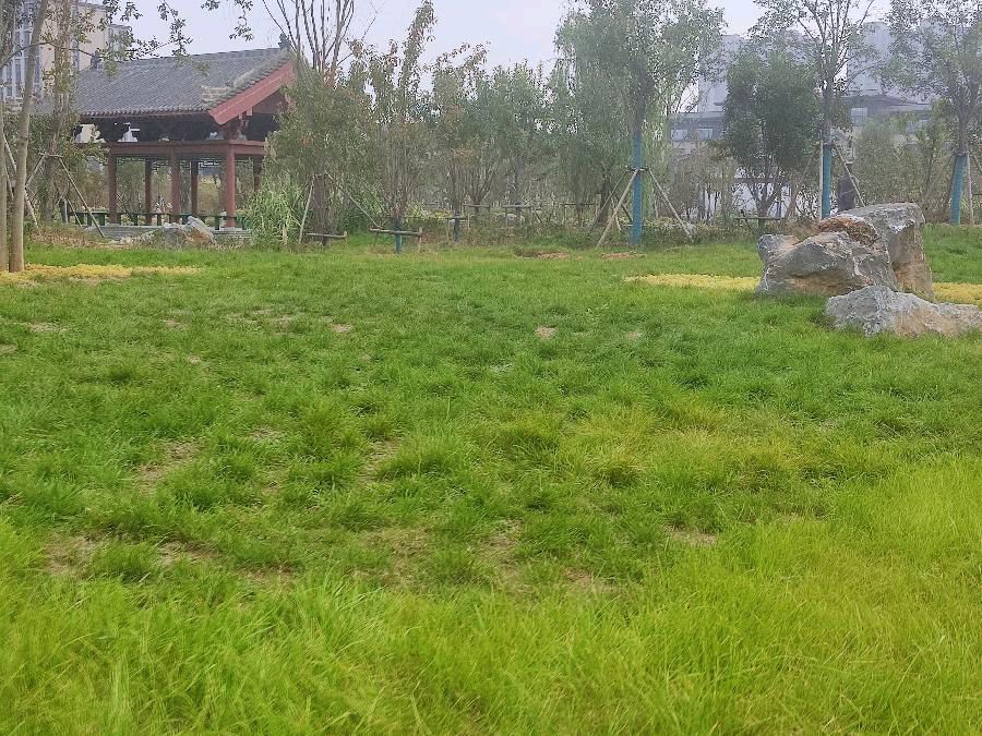 司马光文化园见山台怀古 原作/梁立锋（图24）