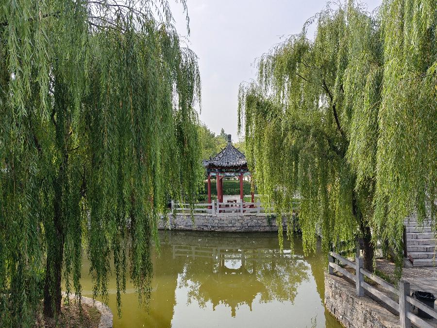 【名家散文专刊】童年的扉页 文 / 胡世健(图15)