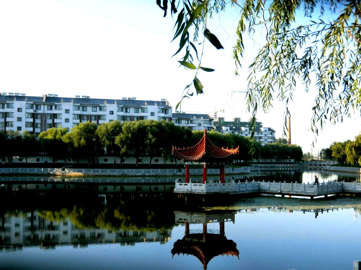 【中国长江文学社】《礼赞新台安》作者 盛百珍//主播 祥云//编辑 岁月静好 第6790期（图4）
