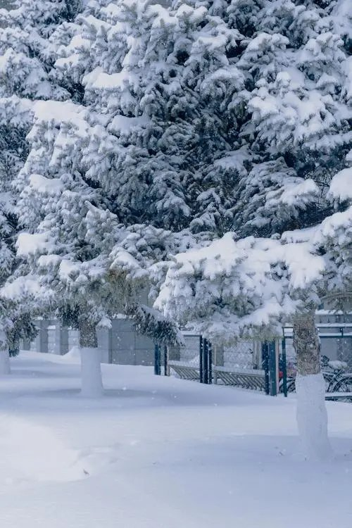 五律-初雪～诗||宁国振（图12）