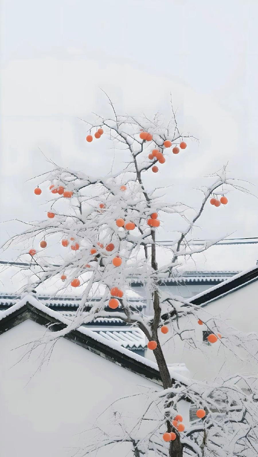 五律-初雪～诗||宁国振（图13）